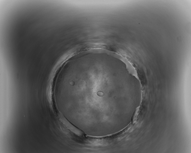 X0000093430293200710191032