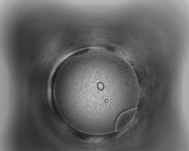 X0000093430294200710191032