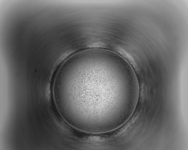 X0000093430298200710191032