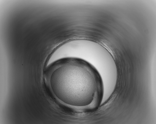 X0000093430301200710191032
