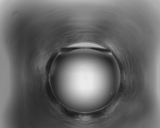 X0000093430311200710191032