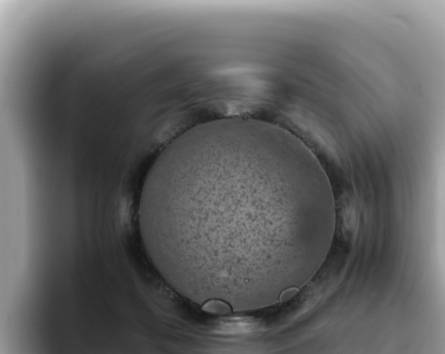 X0000093430316200710191032