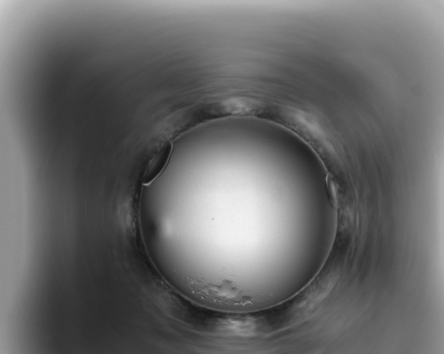 X0000093430317200710191032