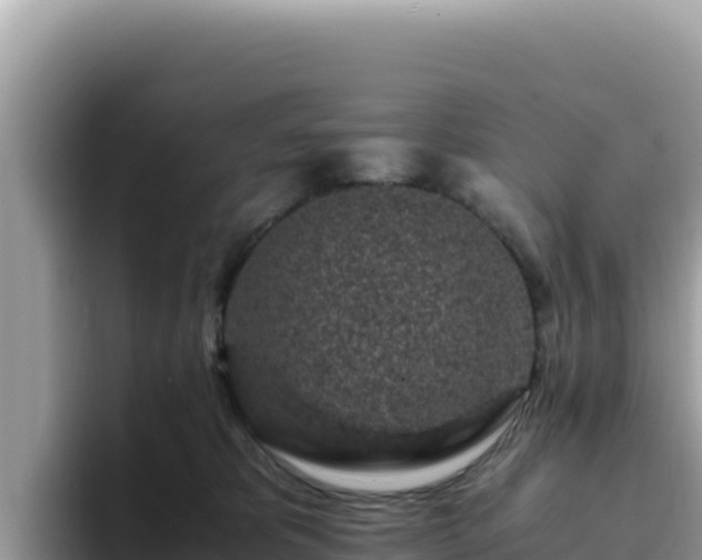 X0000093430325200710191031
