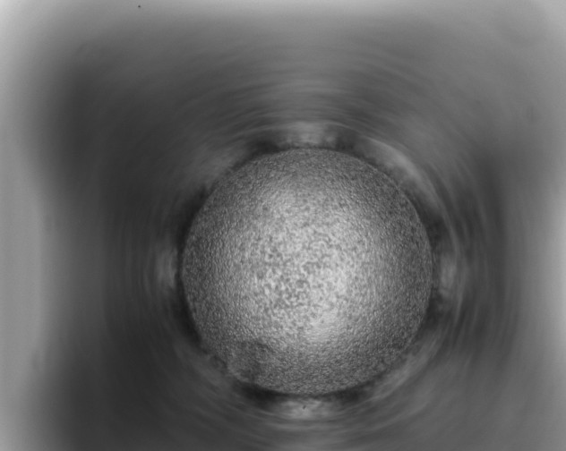 X0000093430326200710191031