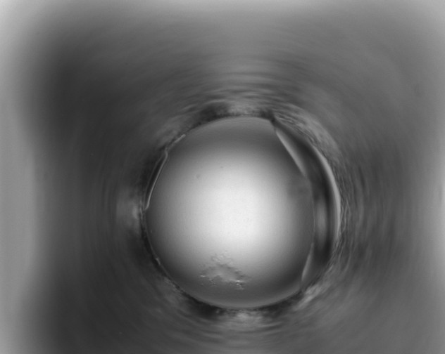 X0000093430329200710191031