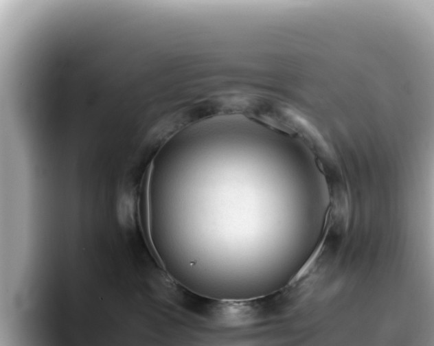 X0000093430333200710191031