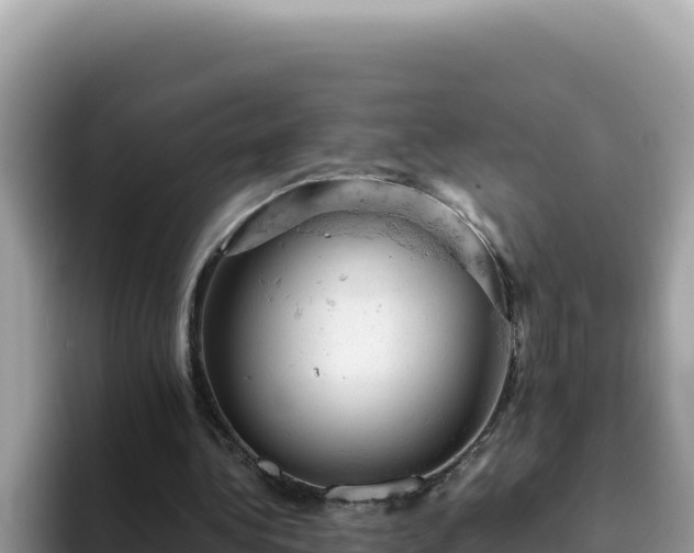 X0000093430340200710191031