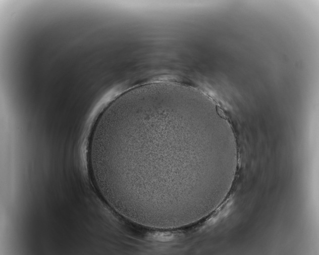 X0000093430341200710191031