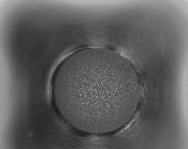 X0000093430343200710191031