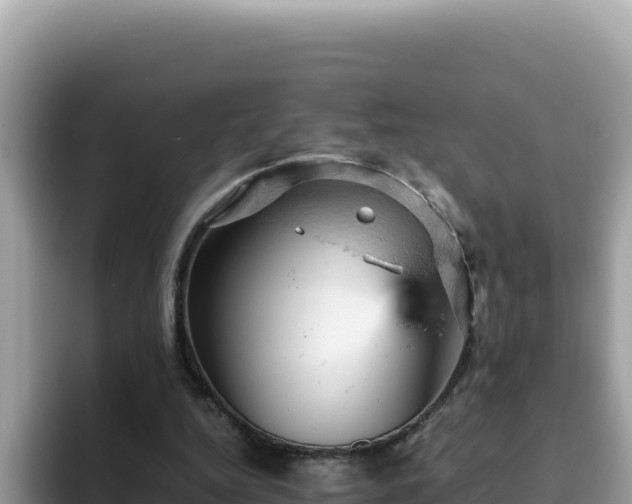 X0000093430344200710191031