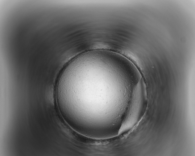 X0000093430345200710191031