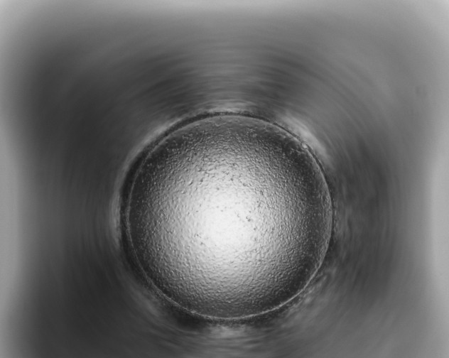 X0000093430346200710191031