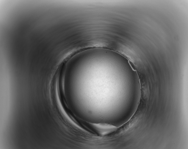 X0000093430350200710191031