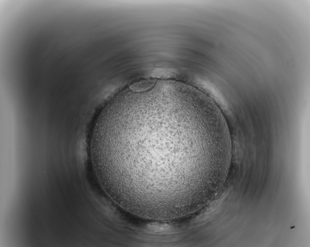 X0000093430354200710191031