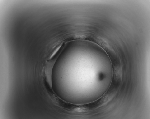 X0000093430364200710191031