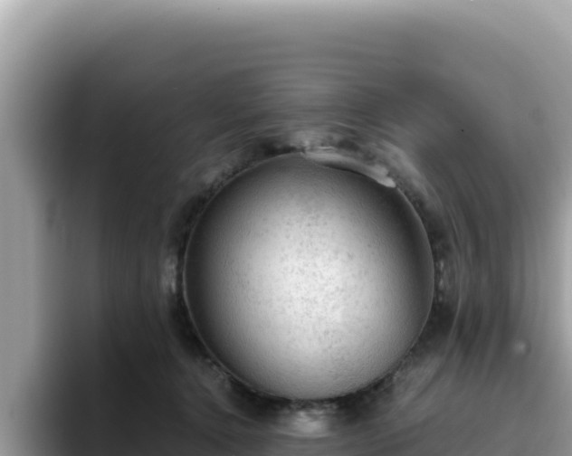 X0000093430368200710191031