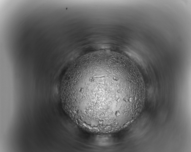 X0000093430373200710191031