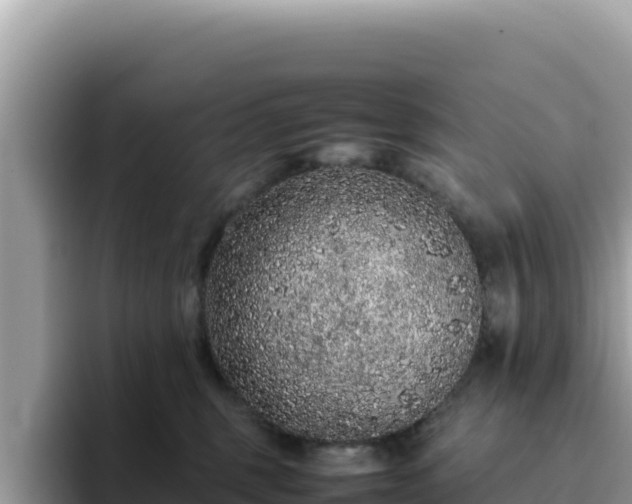X0000093430375200710191031