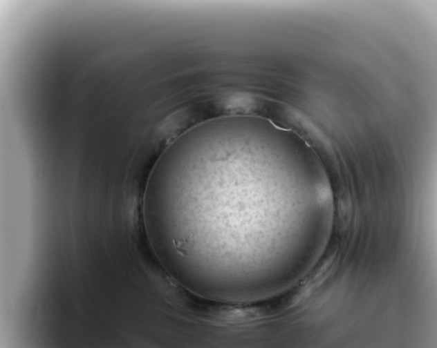 X0000093430379200710191031