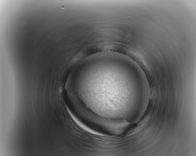 X0000093430382200710191031