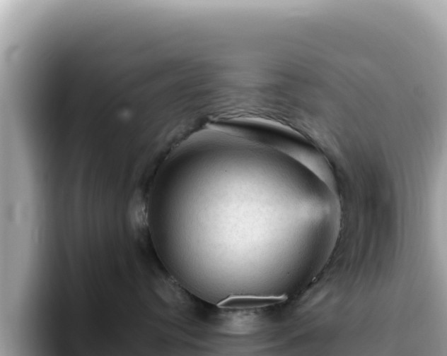 X0000093430384200710191031