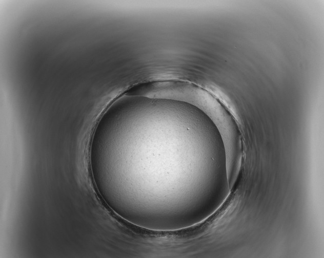 X0000093430385200710191031