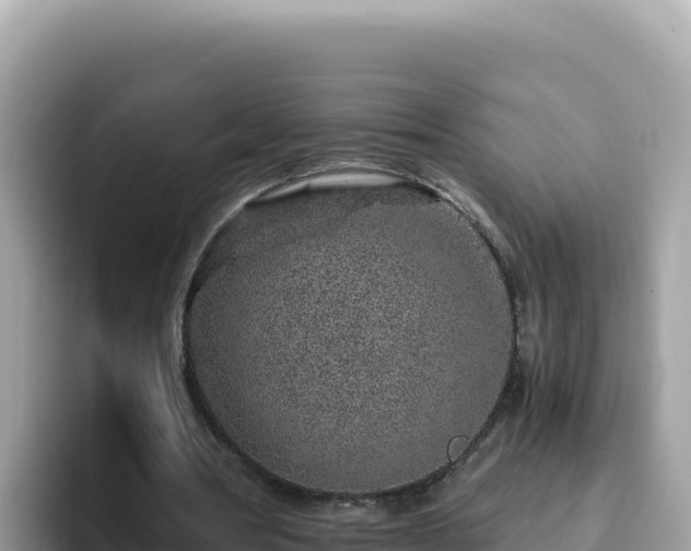 X0000093430386200710191031
