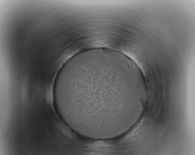 X0000093430390200710191031