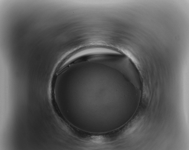 X0000093430391200710191031