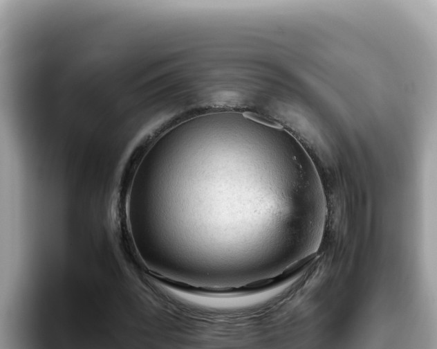 X0000093430392200710191031