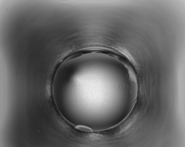 X0000093430393200710191031