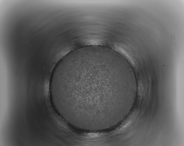 X0000093430394200710191031