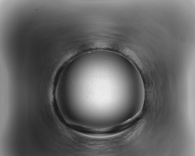 X0000093430395200710191031