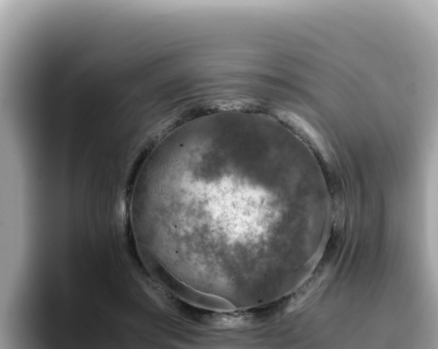 X0000093430405200710191030