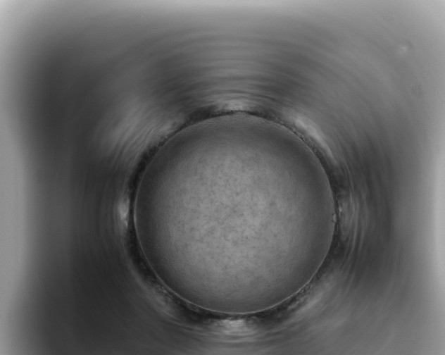 X0000093430406200710191030