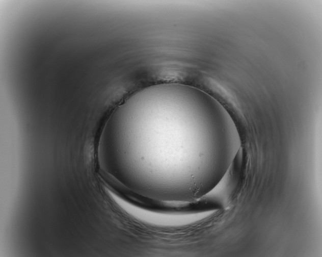 X0000093430407200710191030