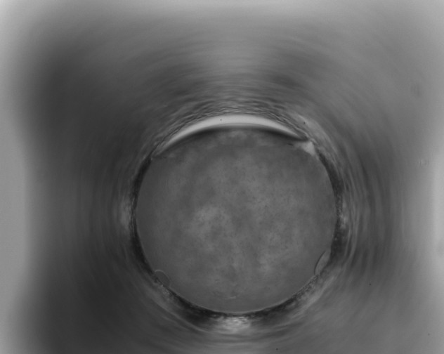 X0000093430409200710191030