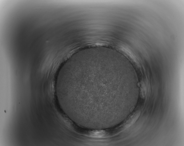 X0000093430410200710191030