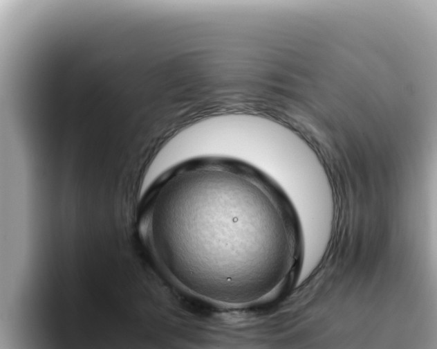 X0000093430417200710191030