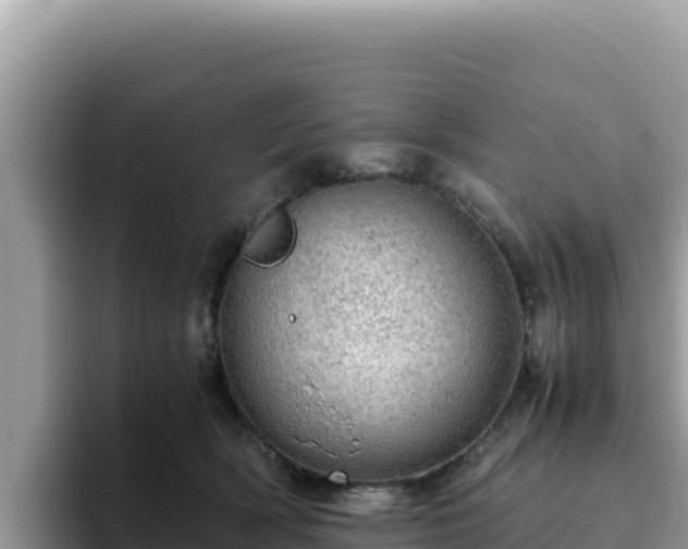 X0000093430418200710191030