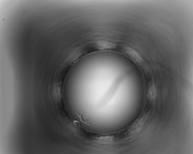 X0000093430426200710191030
