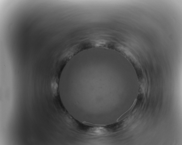 X0000093430427200710191030