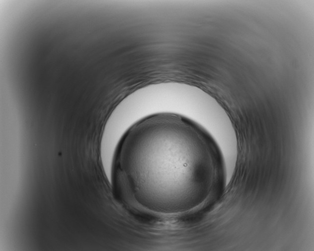 X0000093430428200710191030