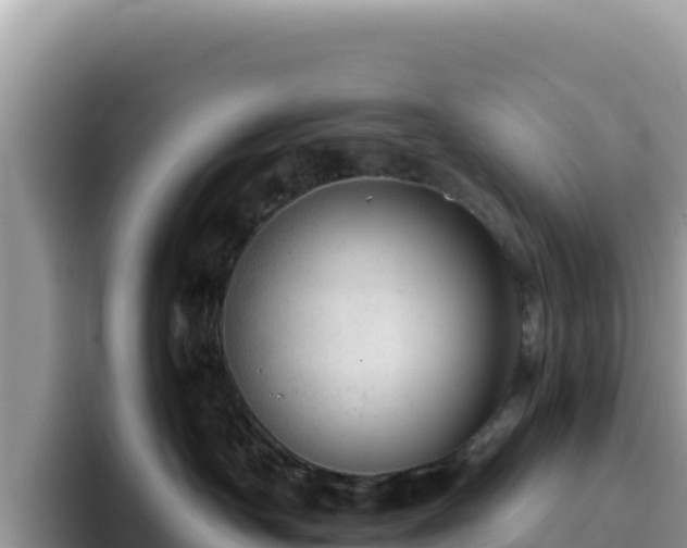 X0000093430430200710191030