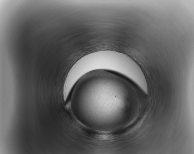 X0000093430432200710191030