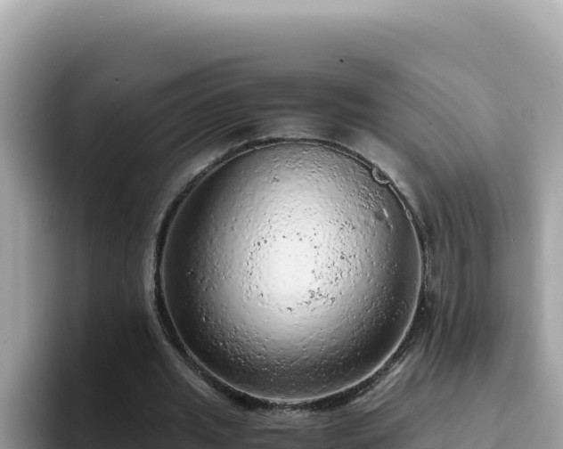 X0000093430437200710191029