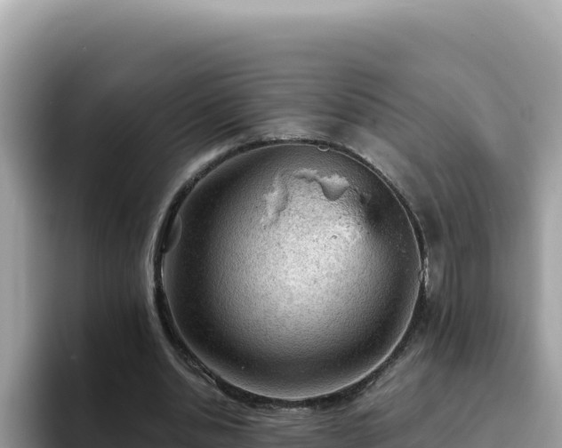 X0000093430438200710191029