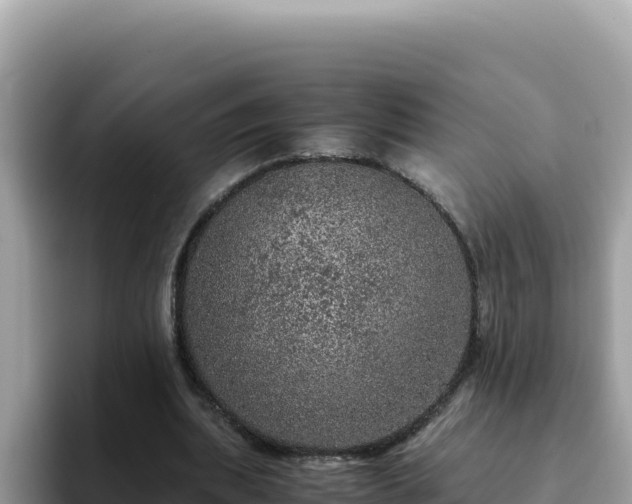 X0000093430439200710191029