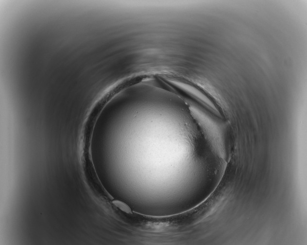X0000093430440200710191029